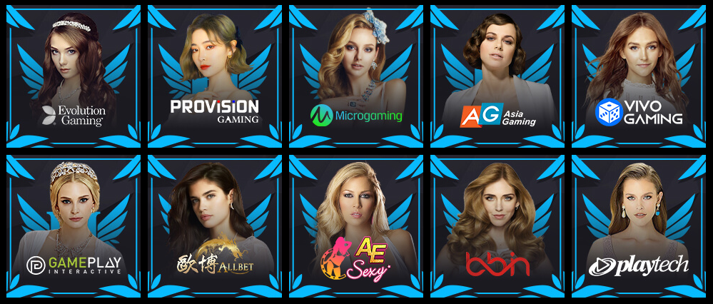 라이브카지노 안내